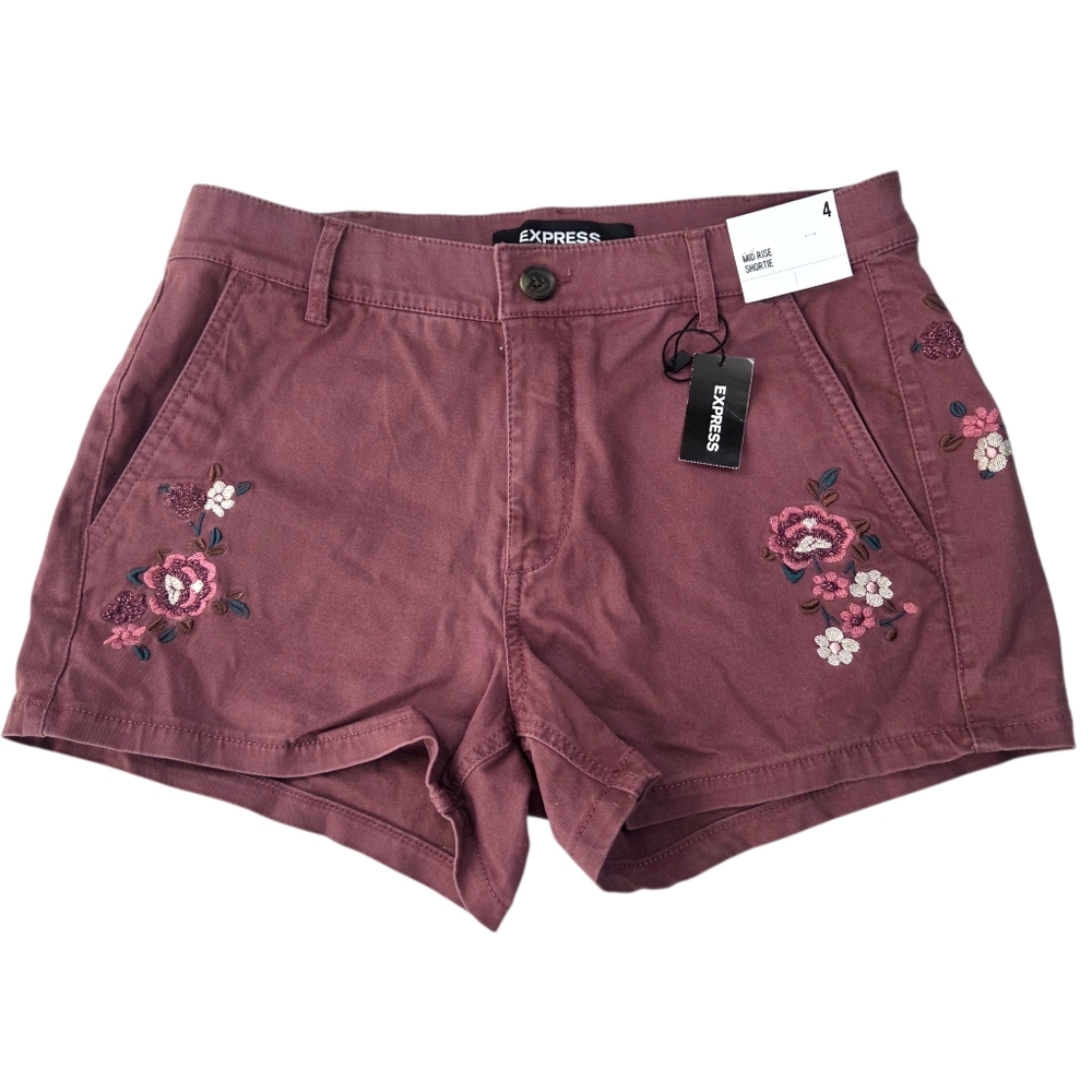 Express Shortie Micro Mini Shorts Embroidered NEW Fairy Grunge Womens 4 Mauve